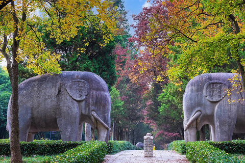 From Shanghai: Nanjing Private Day Trip by High-Speed Rail