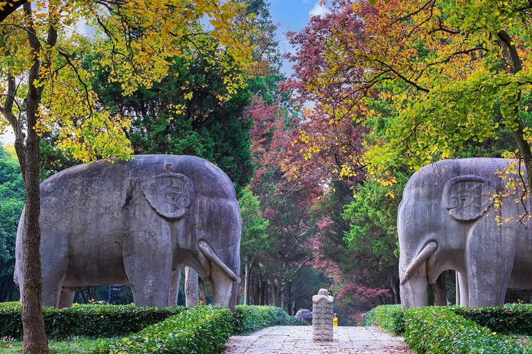 From Shanghai: Nanjing Private Day Trip by High-Speed Rail
