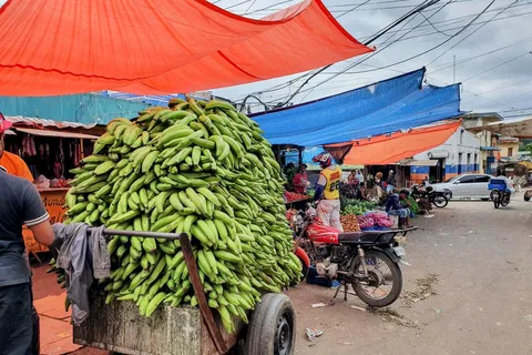 From Puerto Plata Priv: Cocoa, Coffee, Cigars & Local Market