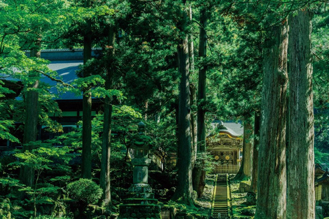 Tour privato di 6 giorni a Kyoto via Fukui da Fukuoka con autobus