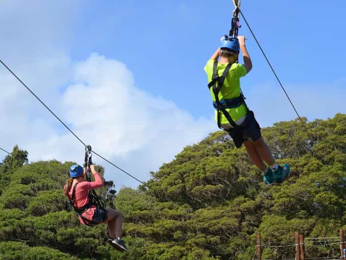 Tsitsikamma-Nationalpark: Zipline-Tour in den Baumwipfeln