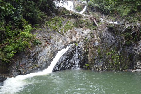 Daintree Rainforest: Waterfall Walk, Swim &amp; Crocodile Cruise