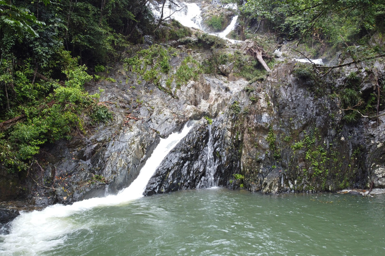 Daintree Rainforest: Magic Waterfall Walk with Lunch & Swim