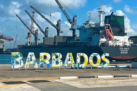 Barbados: Snorkeling, przygoda z wrakiem statku i dzień na plaży