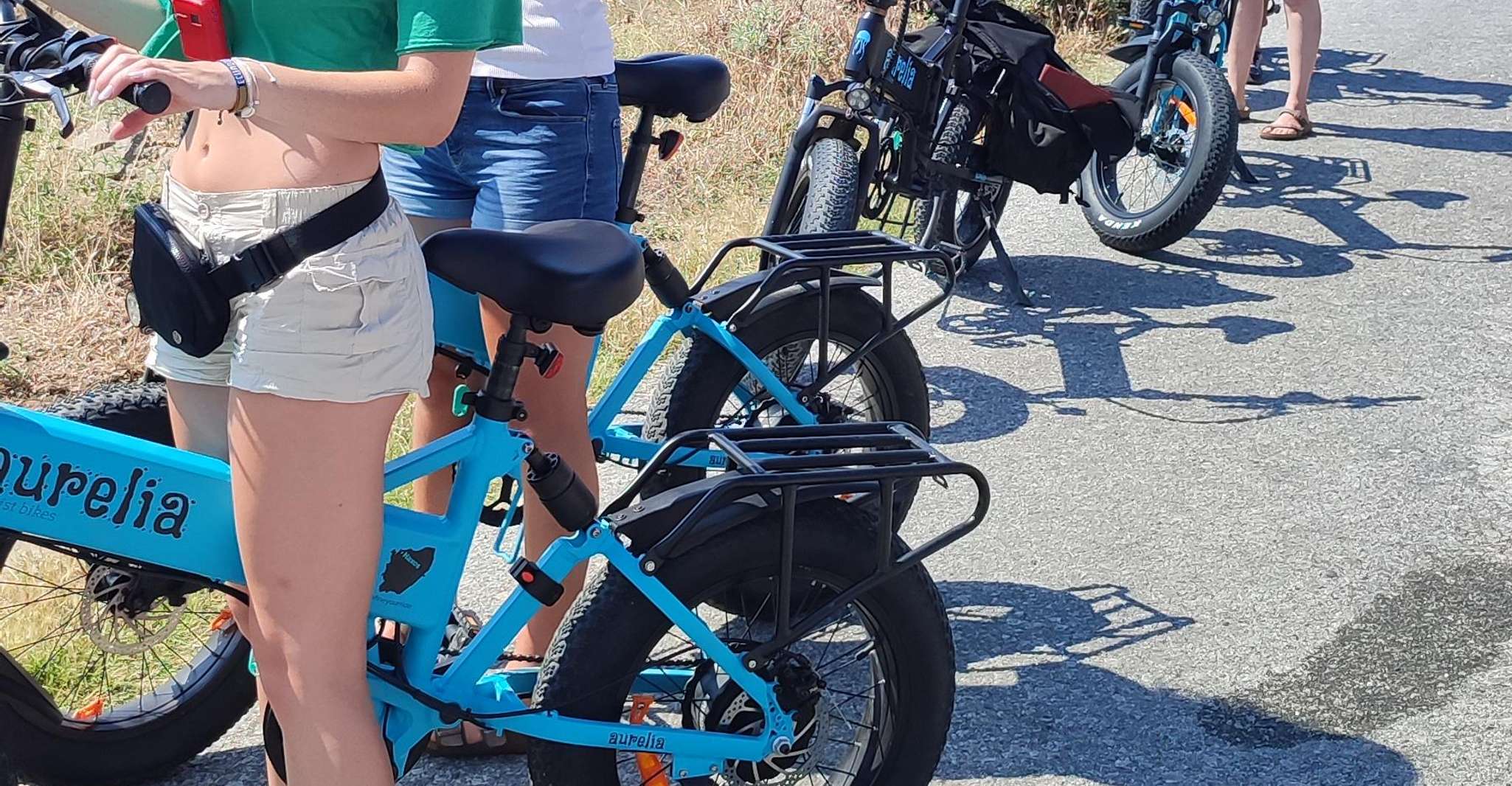 Naxos, E-Bike Guided Tour with Light Farmyard Lunch