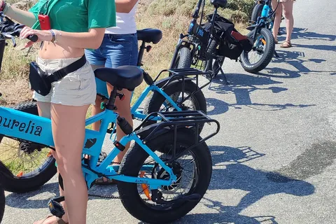 Naxos : Visite privée en E-Bike avec déjeuner à la ferme Aegean Lush