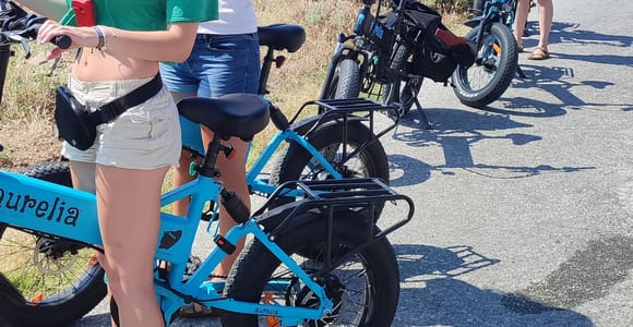 Naxos: Private E-Bike Tour with Farm Lunch