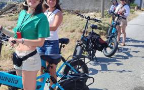 Naxos: E-Bike Guided Tour with Light Farmyard Lunch