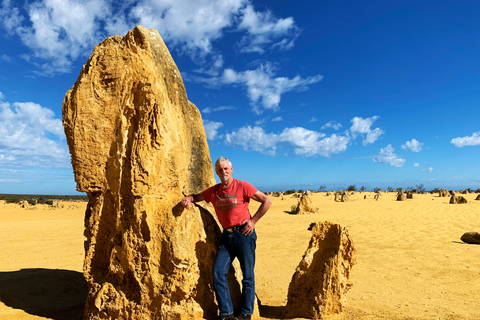 Excursion d&#039;une journée dans le désert des Pinnacles