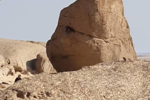 Excursión de un día completo al Parque Namib Naukluft