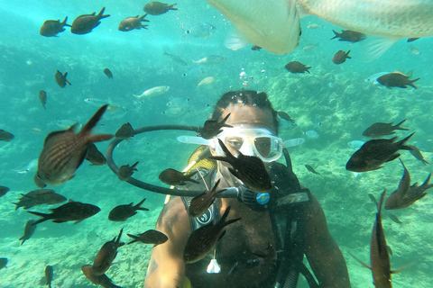 From Side and Alanya: Guided Beginner Level Scuba Diving