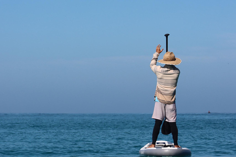 Paddleboard Adventure with Sea Lions on San Cristobal Island