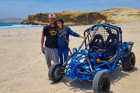 Från Paracas: Buggy-tur i Paracas nationalreservatMötesplats