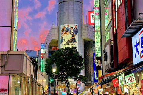 Stadsrondleiding door Tokio met Engelssprekende chauffeur.