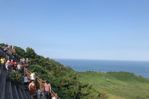Desde Jeju: excursión a sitios de la UNESCO