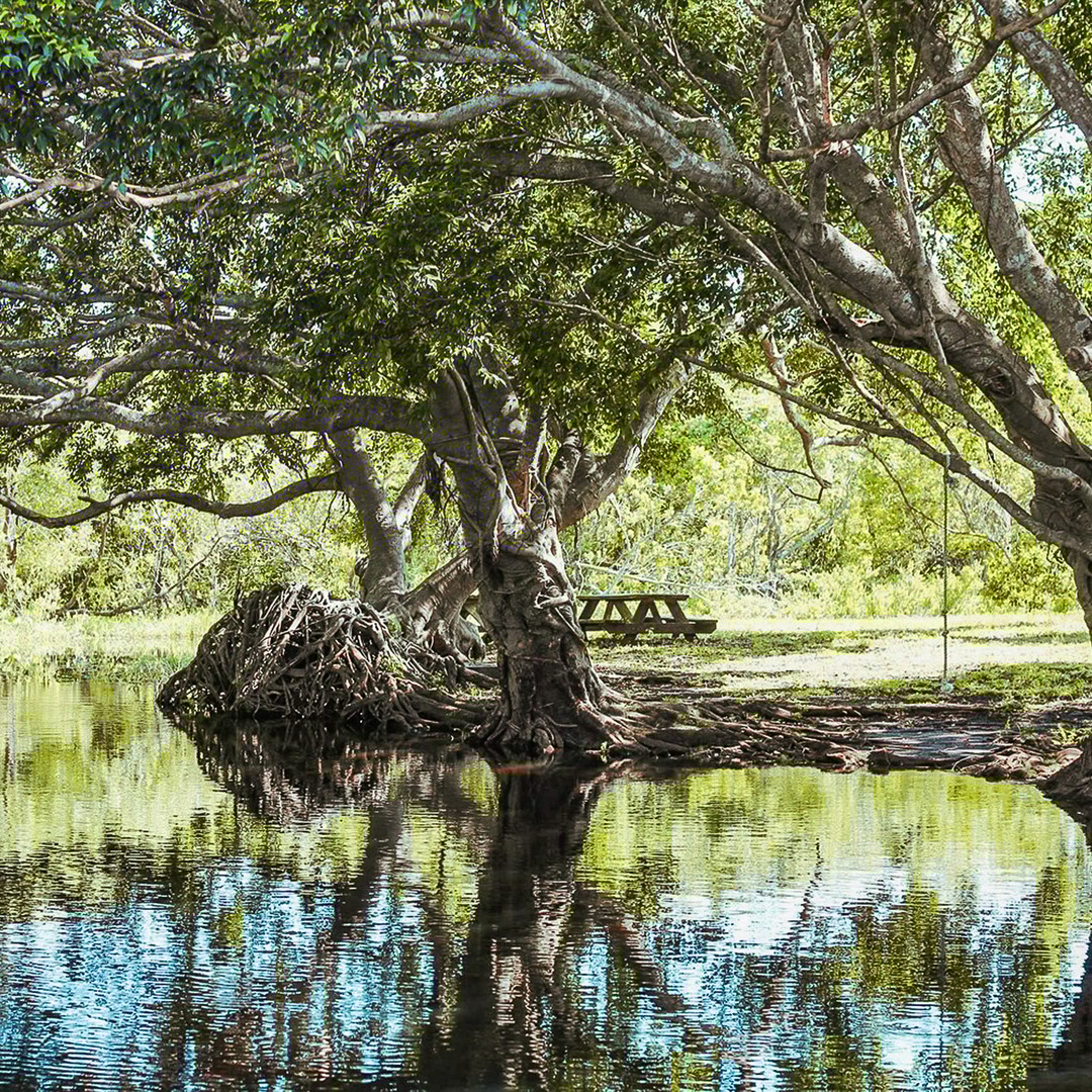 Colagem de mídia