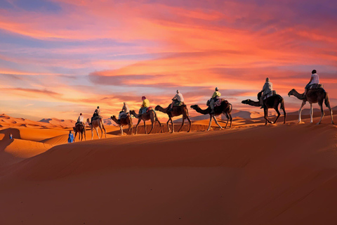 From Agadir/Taghazout: Sahara Sand Dunes with Transfer