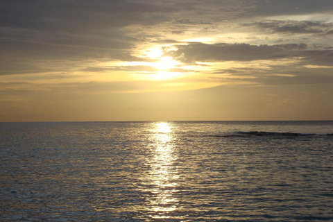 بربادوس: جولة في الجزيرة مع الكهف والقرود وركوب قارب