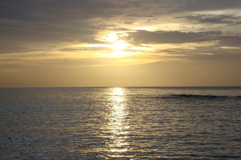 بربادوس: جولة في الجزيرة مع الكهف والقرود وركوب قارب