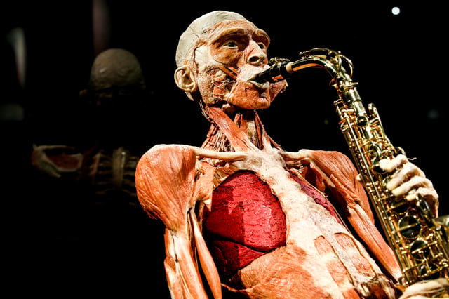 Amsterdam : entrée pour Body Worlds - The Happiness Project