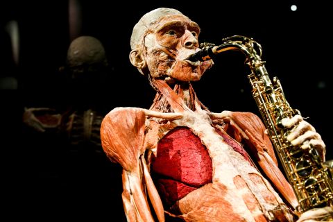 Amsterdamin Body Worlds -näyttely: Happiness Project