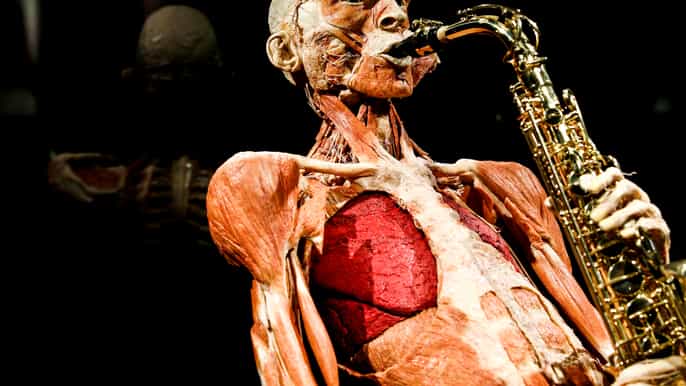 Body Worlds Amsterdam: The Happiness Project Ticket de entrada