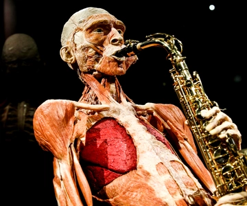 Body Worlds Amsterdam: The Happiness Project Ticket