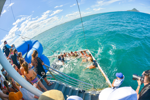 Port Stephens: Dolphin Discovery Cruise