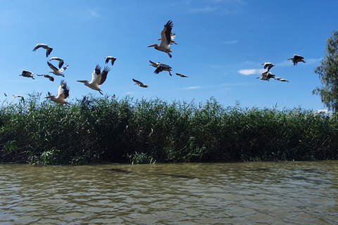 De Bucarest: voyage privé de 2 jours dans le delta du Danube et croisière