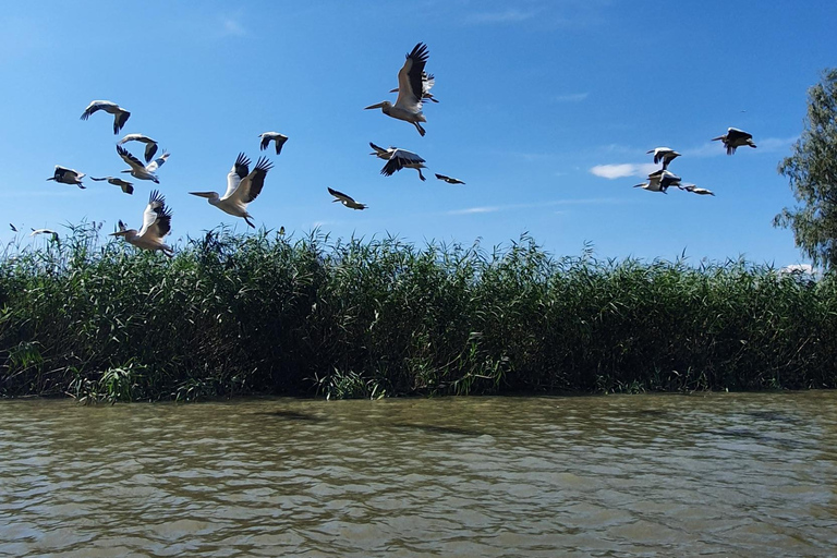 De Bucarest: voyage privé de 2 jours dans le delta du Danube et croisière