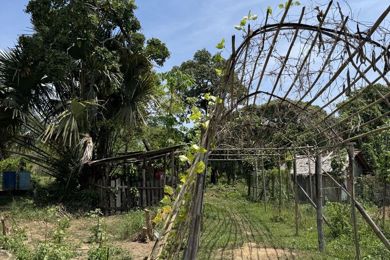 El Nido, Sibaltan: Local Organic Farm Tour & Product Tasting Farm Tour: 2 to 5