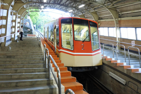 Dagstur från Kanazawa/Toyama: Snövägg och mystisk dalAnslut från Kanazawa Station