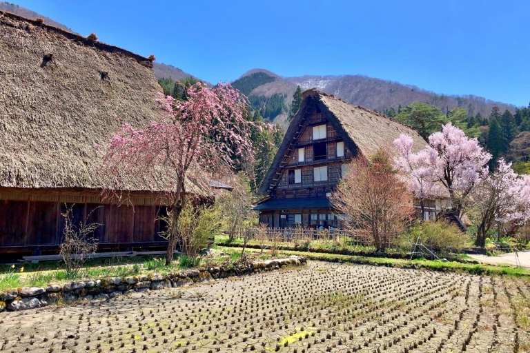 Nagoya: Hida Takayama & Weltkulturerbe Shirakawa-go TagestourTour mit Hida Rindfleisch Mittagessen