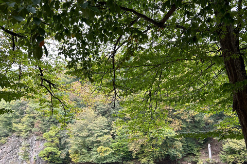 Hiking in Dilijan National Park: From Parz Lake to Goshavank