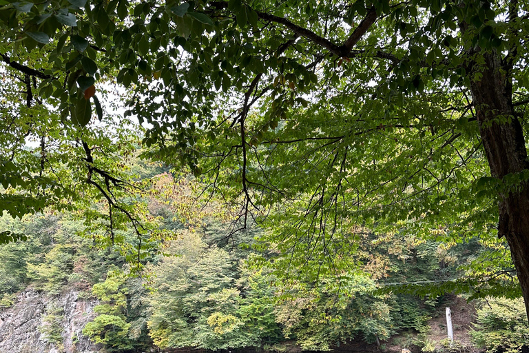 Hiking in Dilijan National Park: From Parz Lake to Goshavank