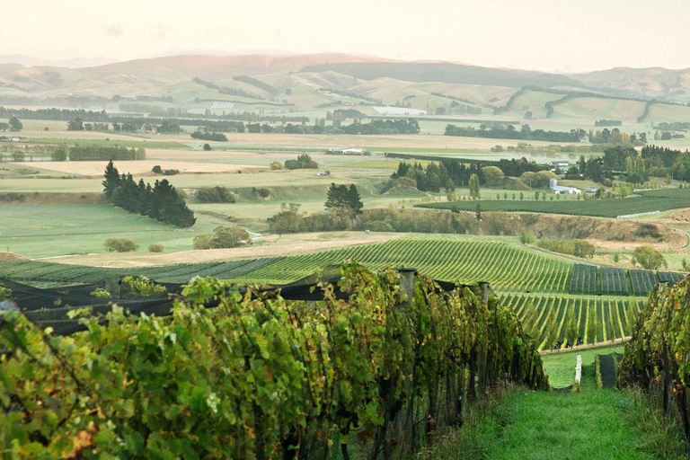 Desde Lyttelton: excursión en tierra con almuerzo degustación.Desde Lyttelton: excursión en tierra con almuerzo degustación