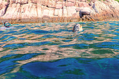 Koh Tao: Snorkel with Turtles at Nangyuan with Fewer Crowds