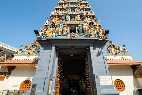 Singapore: Unravel Hidden Gems in a Private Customized Tour Private Customized Tour - 2 hours