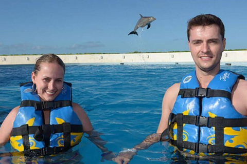 Punta Cana: Swimming with Dolphins.Dolphin Swim Adventure in Punta Cana with Transportation