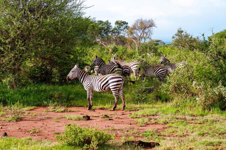 Nairobi: Lake Nakuru National Park and Lake Naivasha Tour