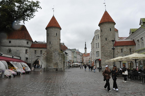 Individual excursion in Tallinn