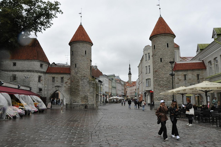 Individual excursion in Tallinn