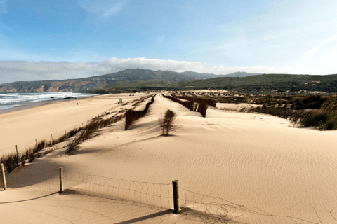 Lisbona: Tour di un giorno di Sintra, Palazzo Pena, Cabo da Roca e Cascais