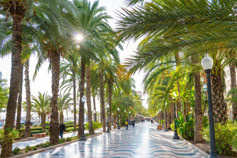 All Alicante with Castle, Market and Tapas. Semi-private tour