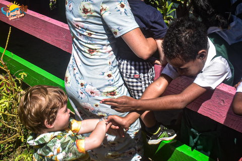 Sigatoka: crucero por el río y visita al valle Salad BowlSigatoka: crucero por el río y excursión al Valle de las Ensaladeras