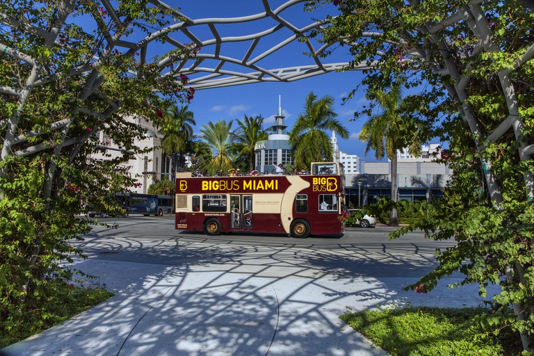 Miami : Aventure dans les Everglades et visite en bus à arrêts multiples à MiamiMiami : Expérience des Everglades &amp; bus en bus à arrêts multiples d&#039;une journée