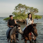 Sanur: Dolphin Encounter & Beach Horse Riding Tour