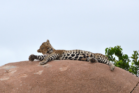 Ab Sansibar: 8-tägige Tansania Safari und Sansibar UrlaubVon Sansibar aus: 8-tägige Tansania-Safari und Sansibar-Urlaub