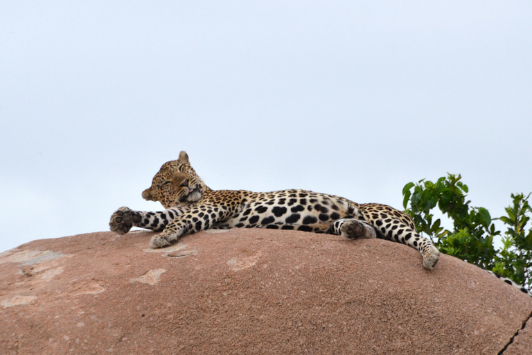 Z Zanzibaru: 8-dniowe safari w Tanzanii i wakacje na Zanzibarze