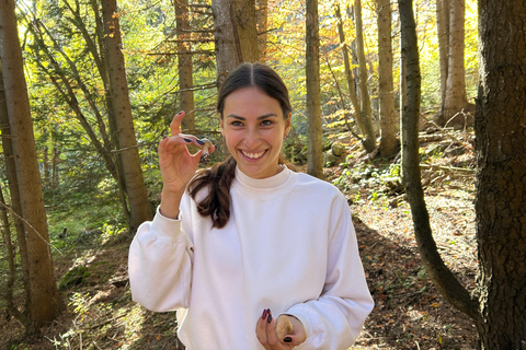 Sofia: Culinary Adventure To The Fungi And Botanical Kingdom